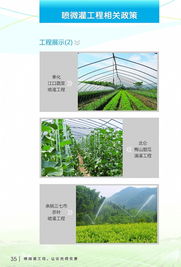 節(jié)水增效，智慧灌溉——寧波市水利局噴微灌技術(shù)推廣應(yīng)用宣傳冊(cè)